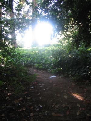 The way we came The way we came