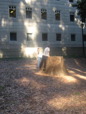 Found a big stump Found a big stump