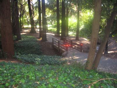 A fork we didn't take A fork we didn't take