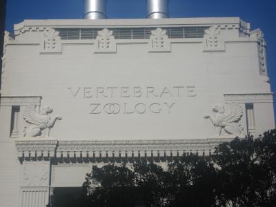 Vertebrate Zoology Vertebrate Zoology