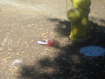 There was a squirrel eating out of this but I wasn't fast enough There was a squirrel eating out of this but I wasn't fast enough