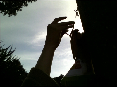 Trying to tie it to a lamppost