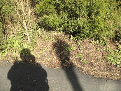 The spot where the bag was buried