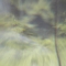 DVC01652.JPG