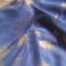 DVC01653.JPG