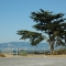 DSC_0610.JPG