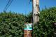 DSC_0563.JPG