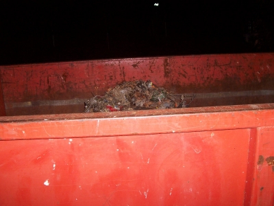 Inner Dumpster Inner Dumpster