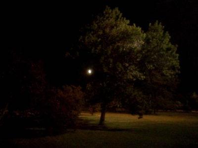 Night Photography 17