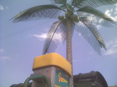 Paradise Found 03