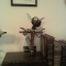 Street Junk Sculpture by carry_me_Zaddy Street Junk Sculpture by carry_me_Zaddy