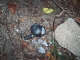 Finding Things 05