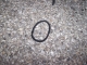 Finding Things 06