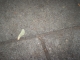 Finding Things 11