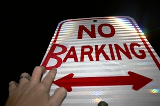 nobarking1.jpg nobarking1.jpg