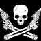 small_skull_and_crossed_guns.jpg