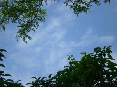 dscn5322.jpg dscn5322.jpg