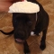 Hat That Makes Babe Happy by CM Hat That Makes Babe Happy by CM