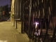 DSCF0978.jpg