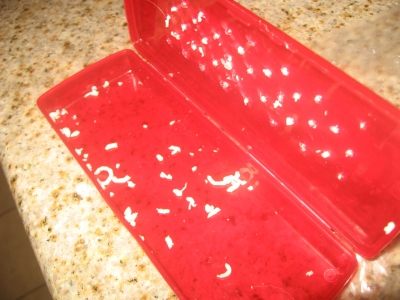 cheese 005.jpg