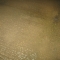 Wet Path