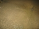 Wet Path