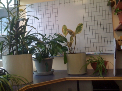 An empty office... An empty office...