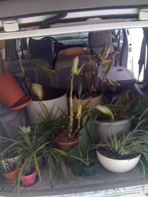 Stark Couriers delivery van