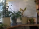 An empty office...