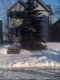 Tree six