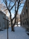 2nd tree