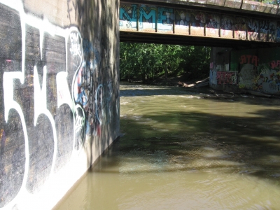 IMG_6289.JPG IMG_6289.JPG