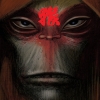 Monkey Hero