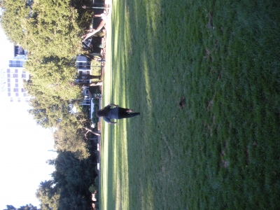 DSCN3787.JPG