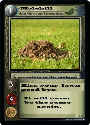 SF0 Molehill.jpg