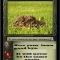 SF0 Molehill.jpg