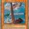SF0 Swim.jpg