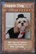 SF0 Dapper Dog.jpg