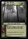 SF0 the woods.jpg
