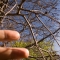 JRF-seeing-challenge-08.jpg