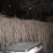 04.19.2008.01.29string07.jpg