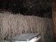 04.19.2008.01.29string07.jpg