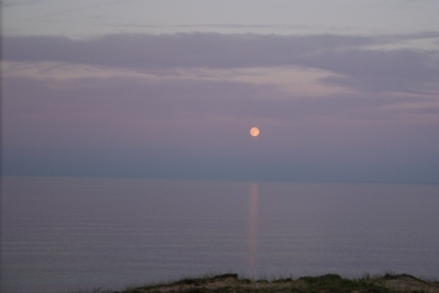 Moonrise