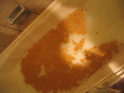 inevitably-dissolving-O's