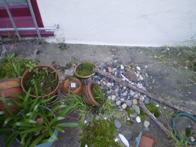 All that is left. All that is left.
