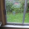 The Window
