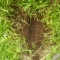 Potted Plant Distribution by Bamorsha Singh, Jukeboxhero Potted Plant Distribution by Bamorsha Singh, Jukeboxhero