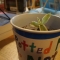 P1220125.JPG
