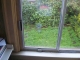 The Window