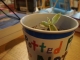 P1220125.JPG